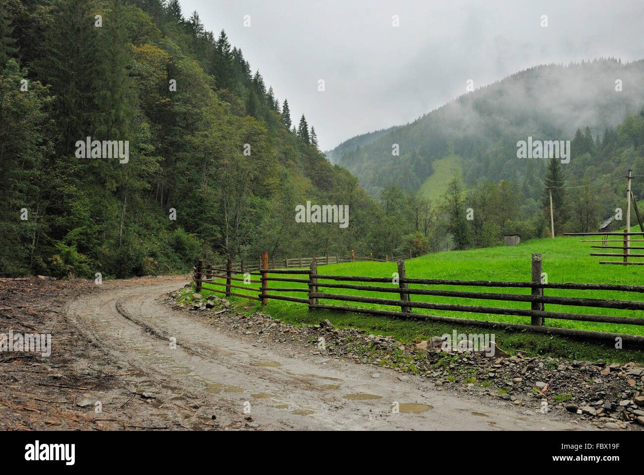 View wet rural road hi-res stock photography and images - Alamy