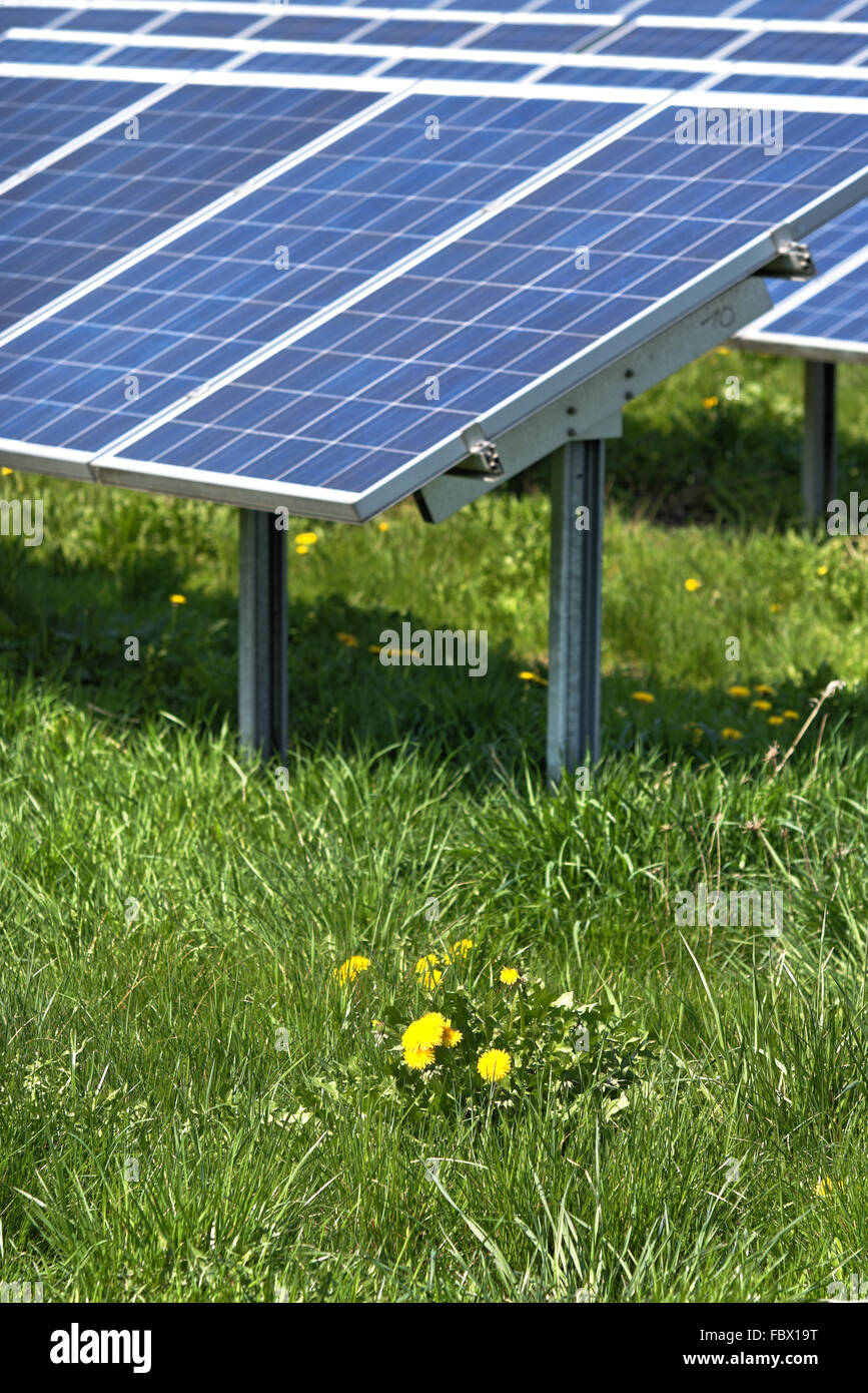 Solar field Stock Photo