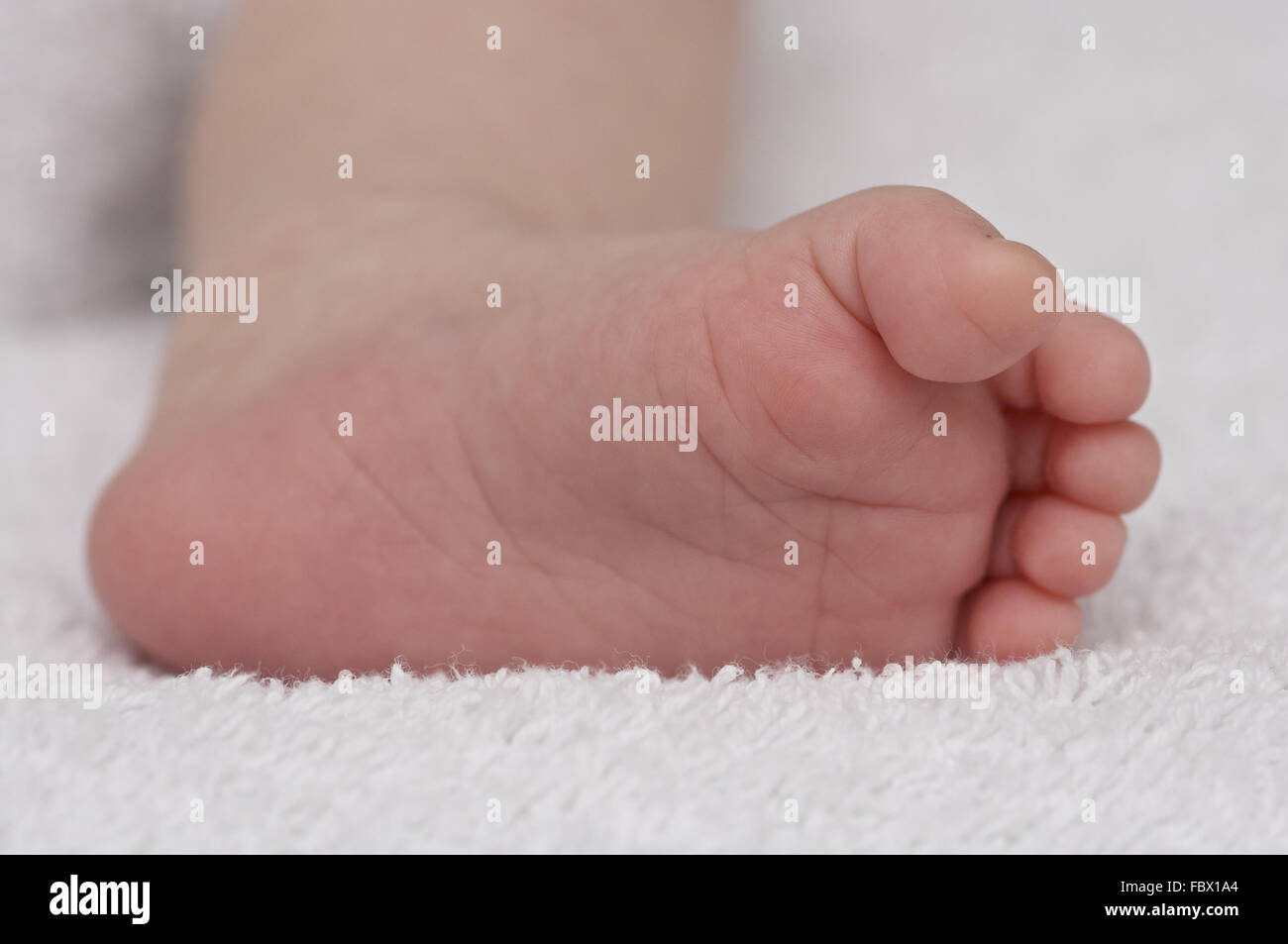 Foot of a Newborn Child Stock Photo