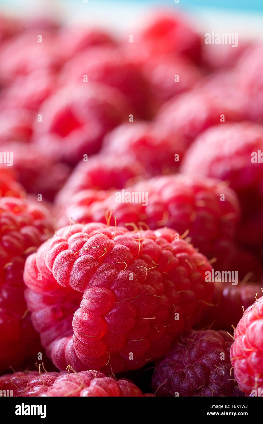 Delicious first class fresh raspberries Stock Photo - Alamy