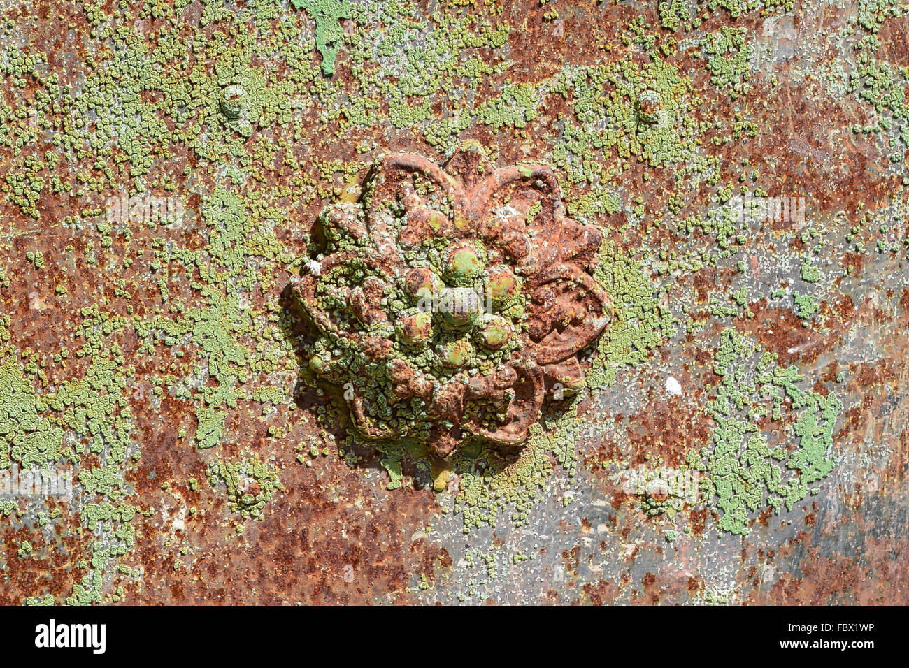 Rusting ironwork rose, Gard, France Stock Photo