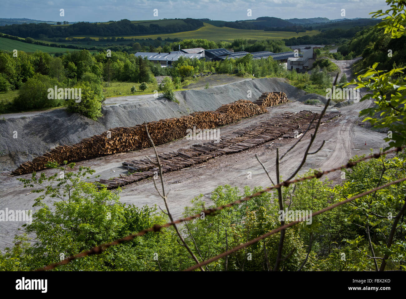 Logging, Timber Industry along the Wenlock Edge, Shropshire, England Stock Photo