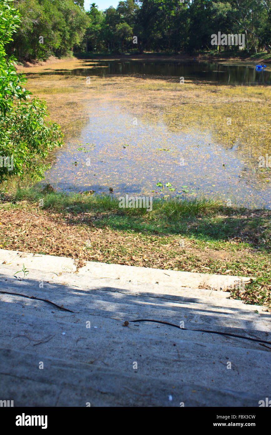 Swamp terrain grass hi-res stock photography and images - Alamy