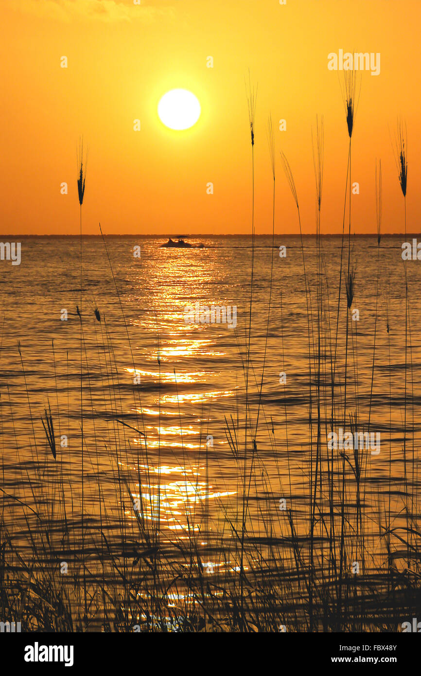 Yucatan Peninsula Beach Stock Photo Alamy yucatan-peninsula-beach-stock-photo-alamy