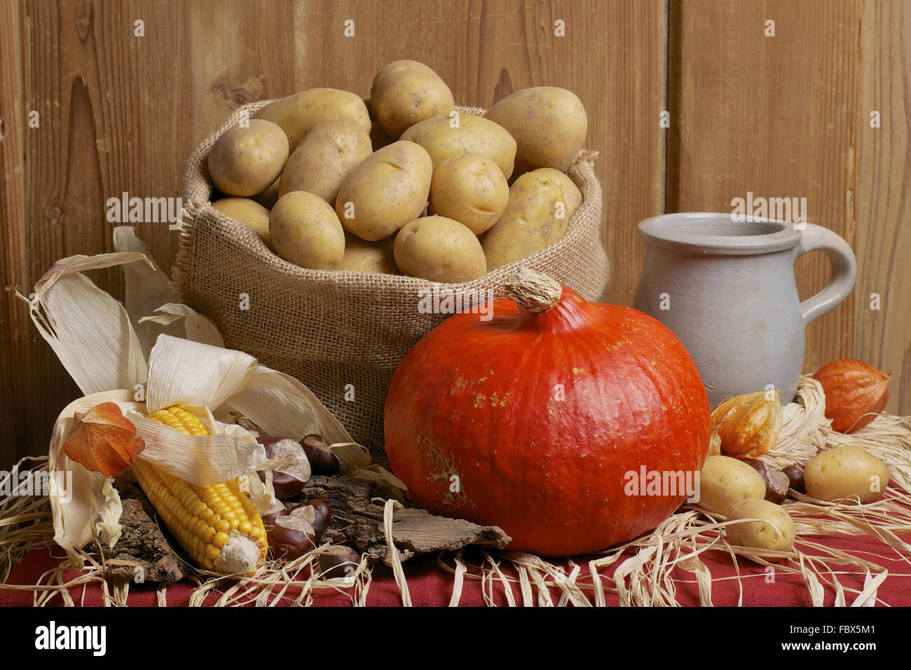 Thanksgiving Stock Photo