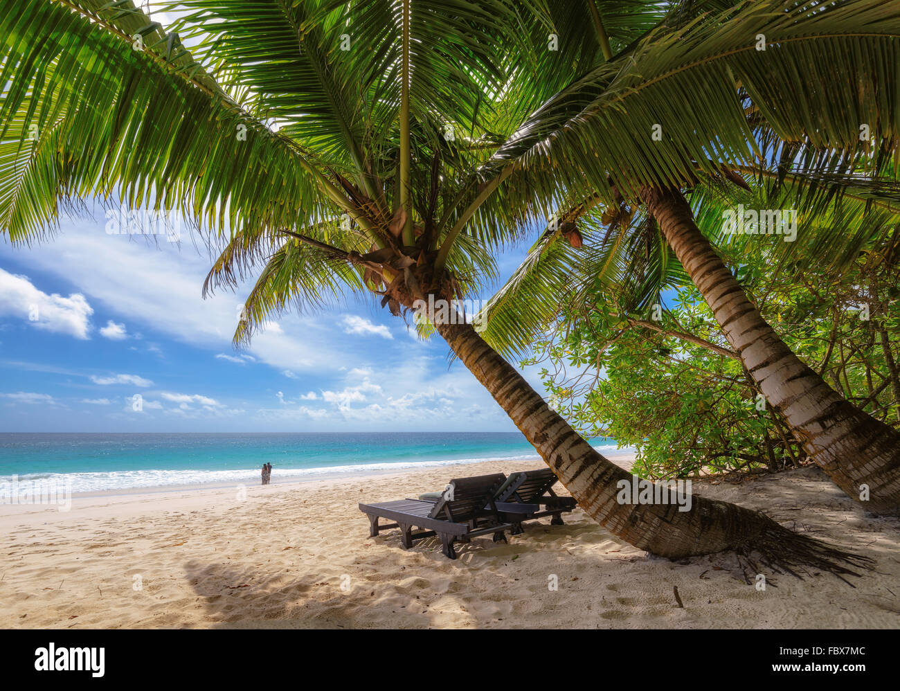 Palms and tropical beach Stock Photo