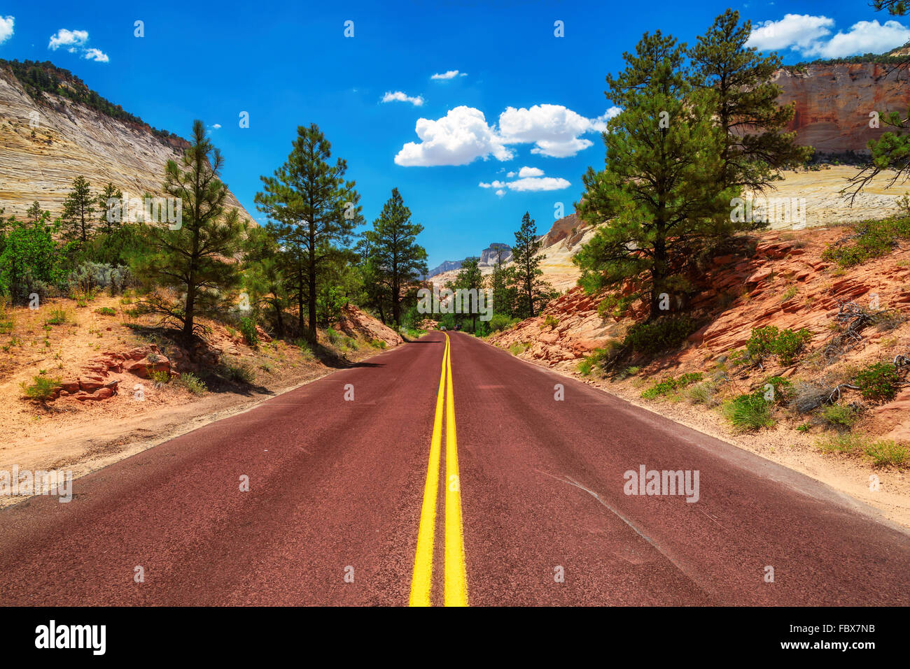 American road in Zion Canyon National Park, Utah Stock Photo