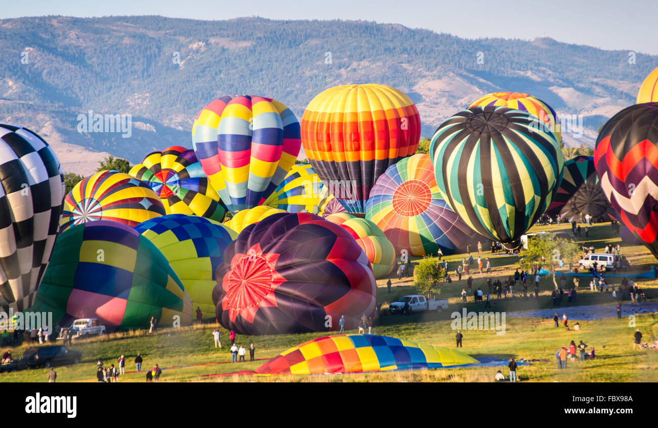 Hot Air Balloons Prepare for Lift-Off Stock Photo