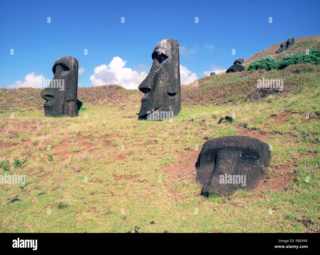 Easter island Stock Photo Alamy