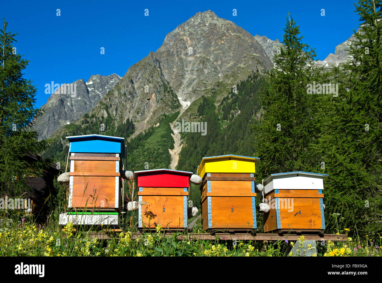 Bee hives in the valley Val Ferret, peak Pointes des Six Niers behind, La Fouly, Val Ferret, Valais, Switzerland Stock Photo