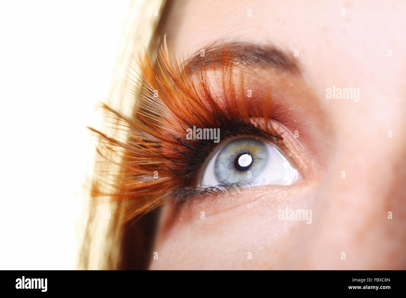 Female eye stylish creative make up false lashes Stock Photo