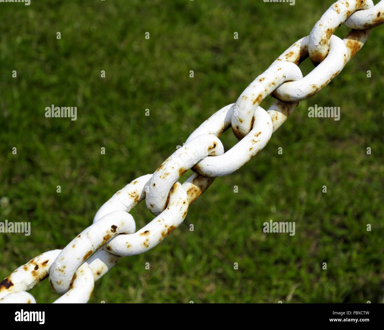 steel metal chain links segment green background Stock Photo Alamy
