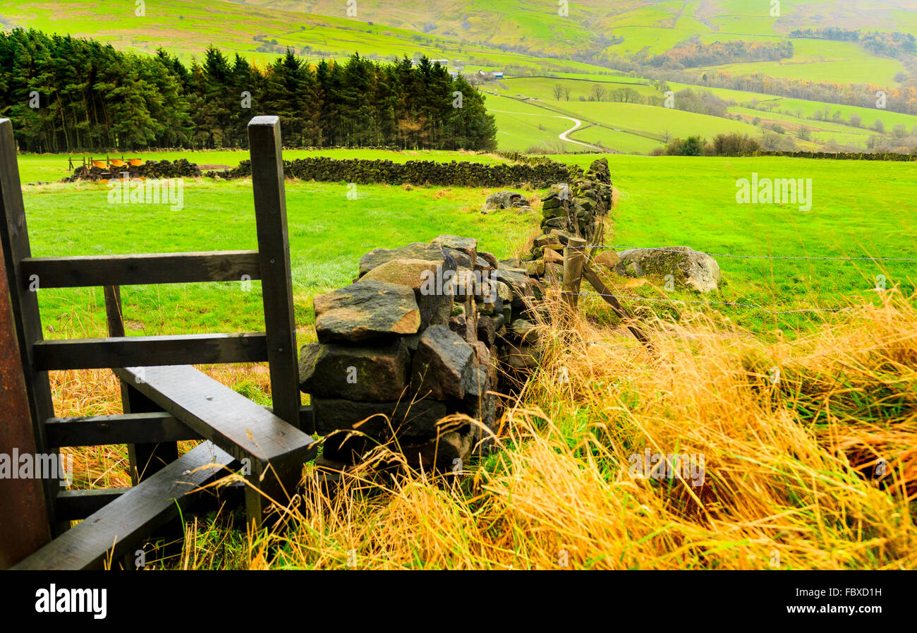 A walking style in the Staffordshire Peak District, Staffordshire, England,  UK Stock Photo - Alamy