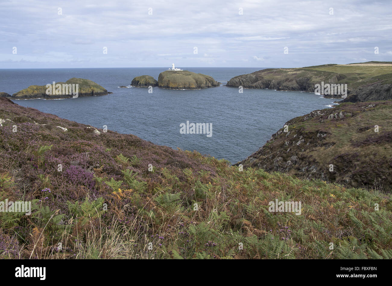 Strumble Head Rocks Strumble hi-res stock photography and images - Alamy
