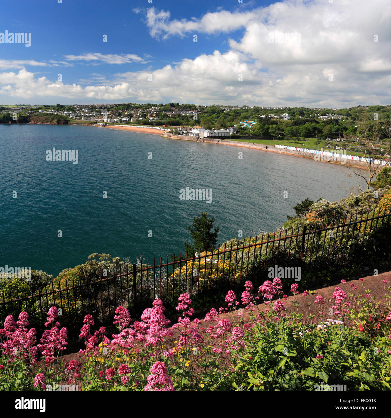 The Sweeping Goodrington Sands Beach Torbay English Riviera Devon