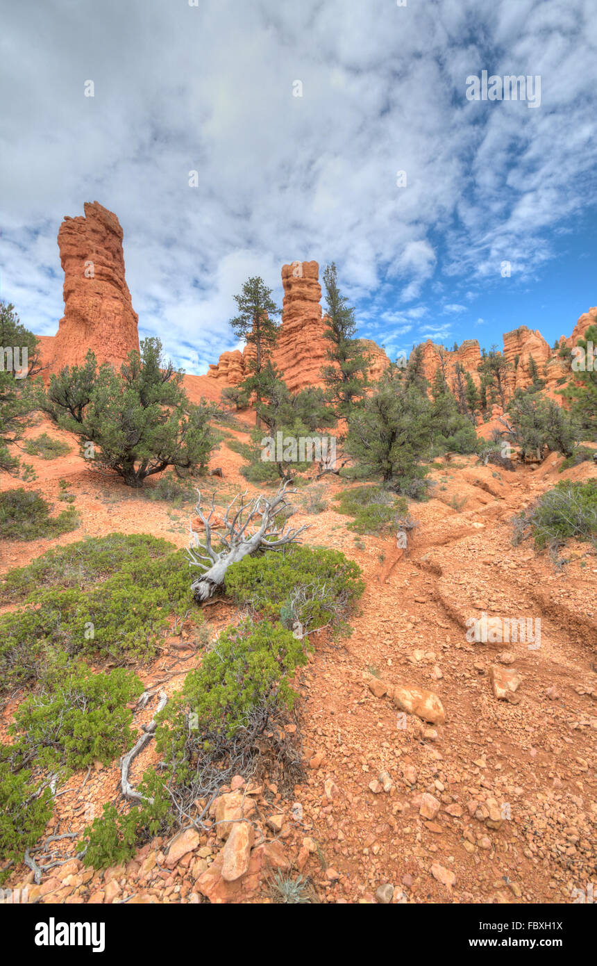 Bryce Canyon entry Stock Photo Alamy