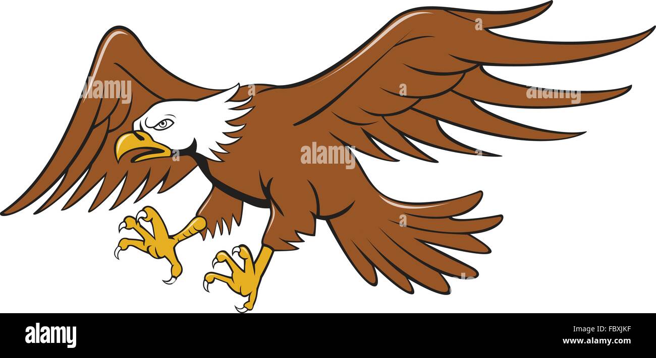 Illustration of an american bald eagle swooping flying viewed from the side set on isolated white background done in cartoon style. Stock Vector