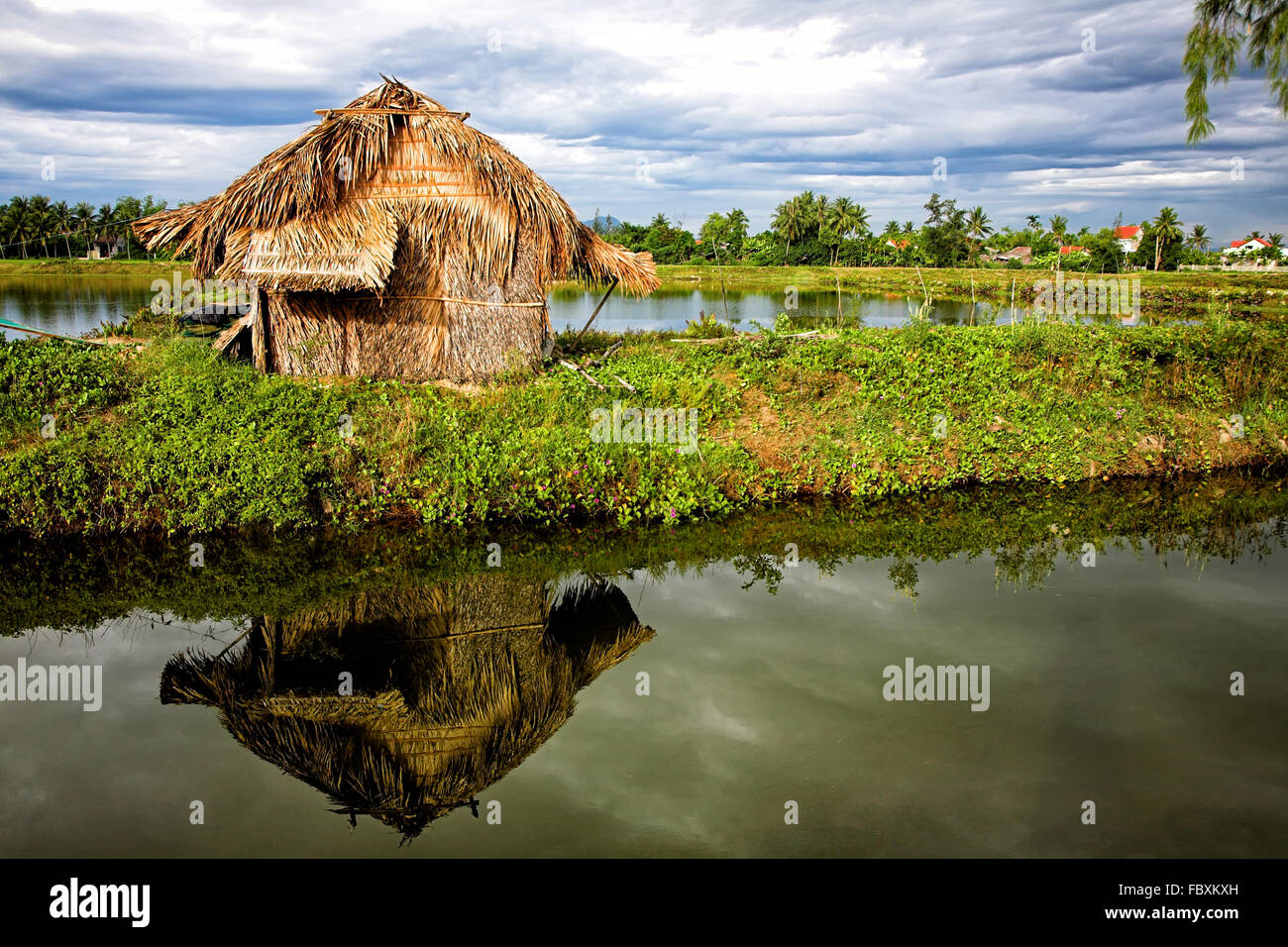 Irrigation canal system in rice field Stock Photo Alamy