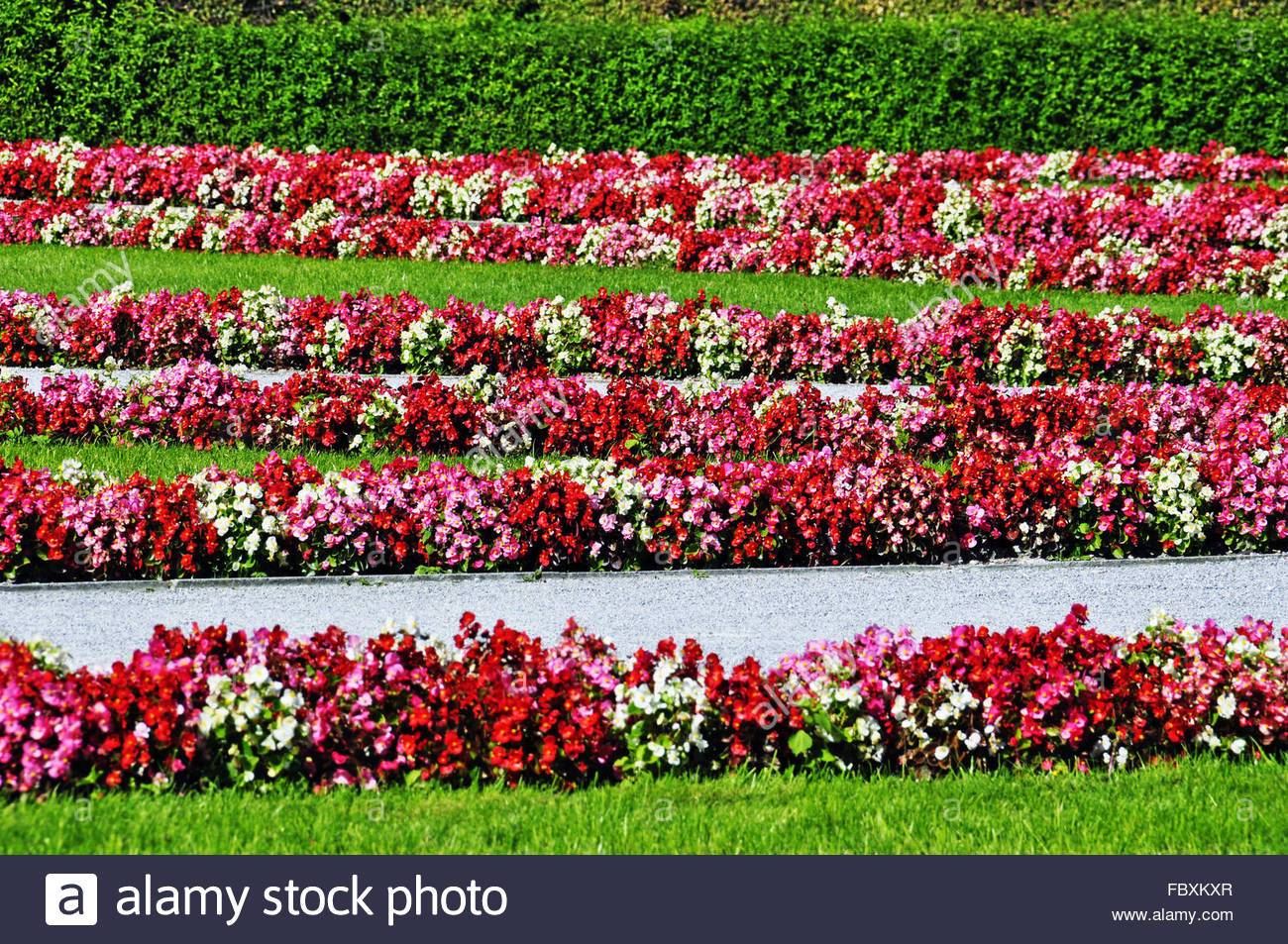 kies weg im garten, kiesweg im garten stock photos & kiesweg im garten stock images - alamy, Design ideen