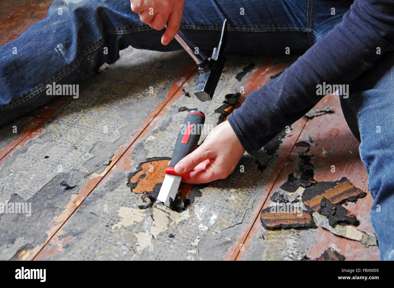 home improvement Stock Photo