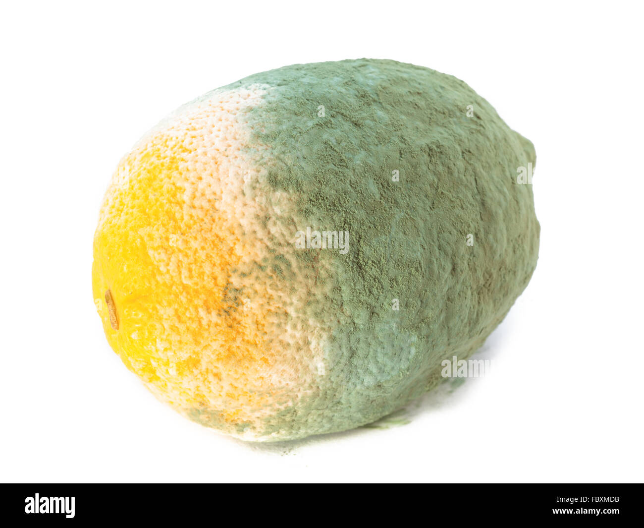 Mouldy lemon hires stock photography and images Alamy