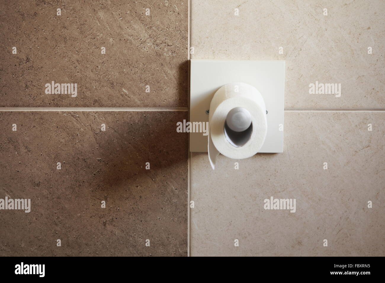 Toilet Paper Roll In Bathroom