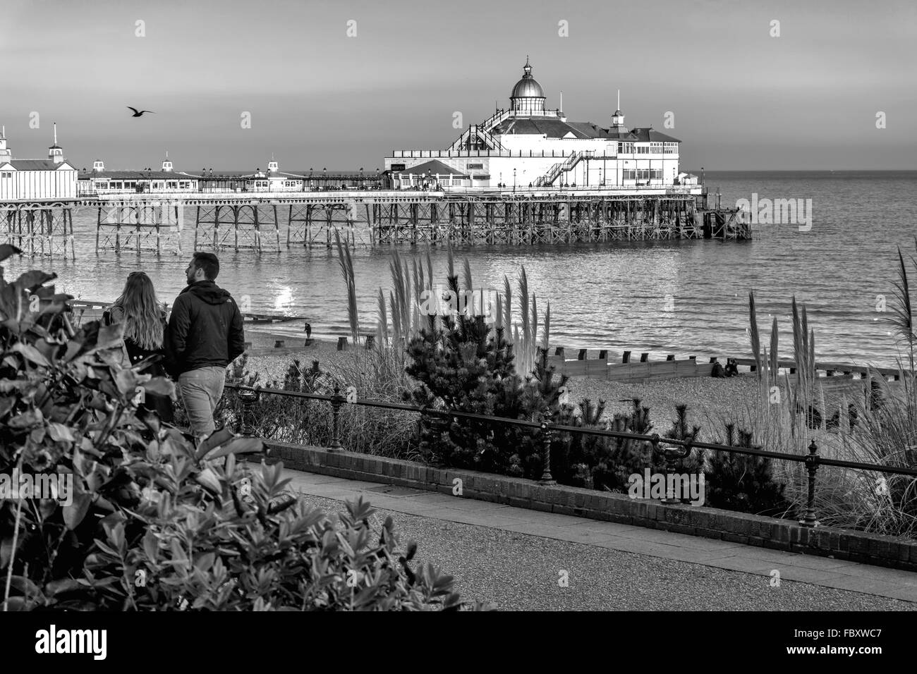 View of Eastbourne Pier Stock Photo Alamy