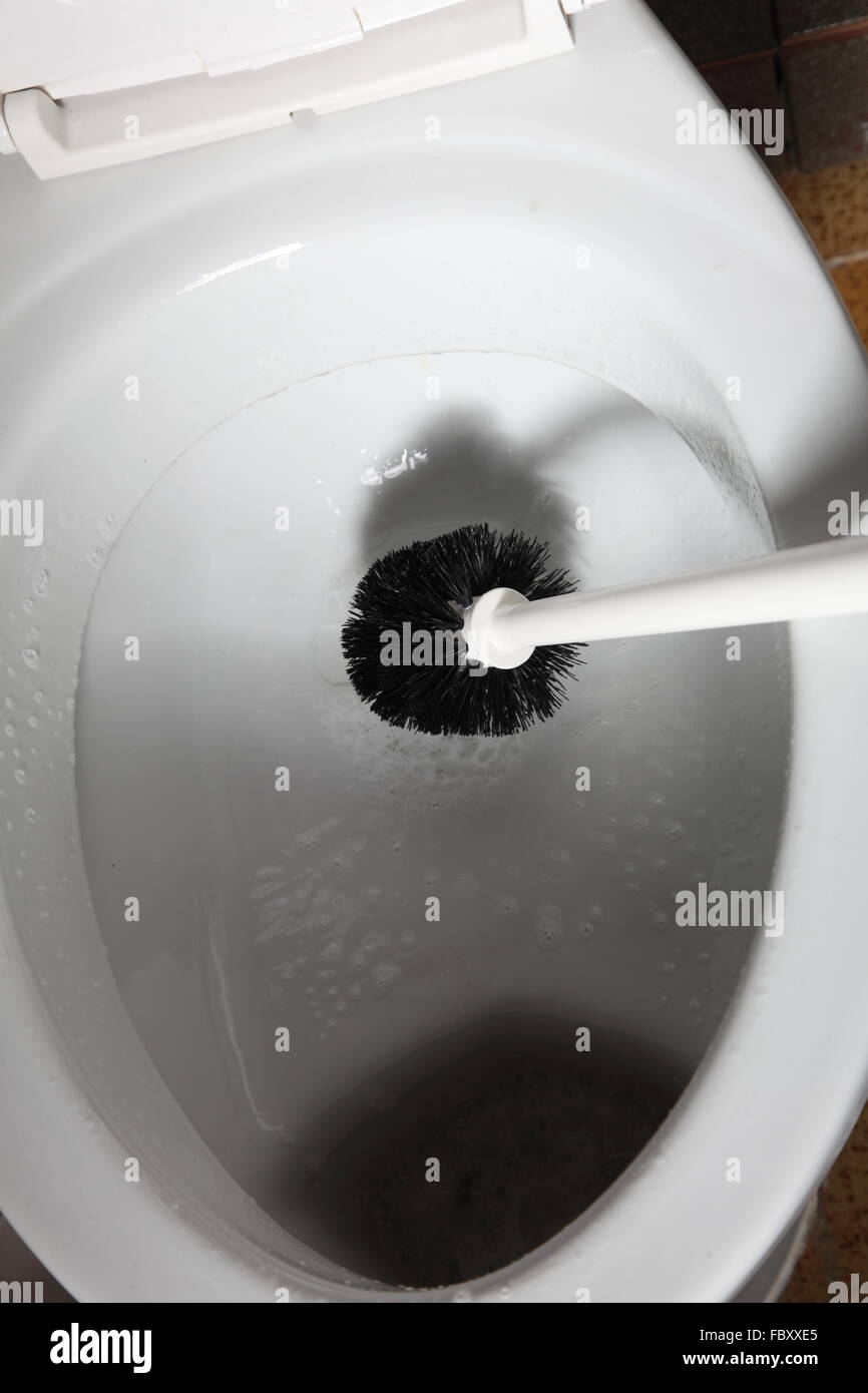 cleaning a toilet bowl with brush Stock Photo Alamy
