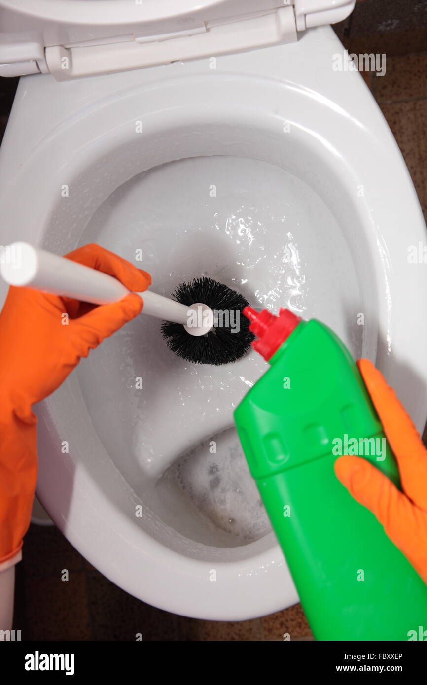 Gloved hand cleaning toilet bowl using brush Stock Photo Alamy