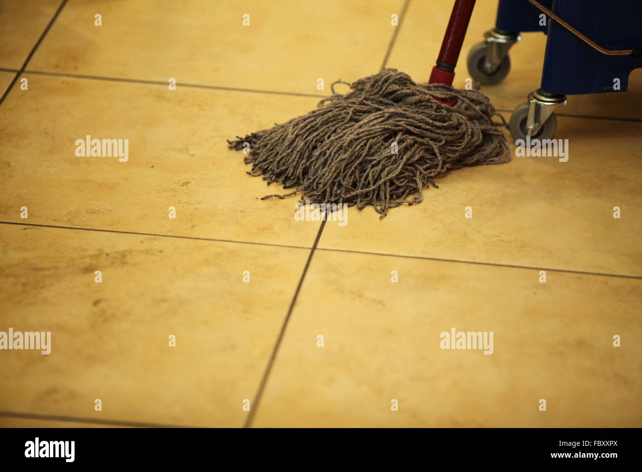 cleaning the floor with a mop Stock Photo Alamy