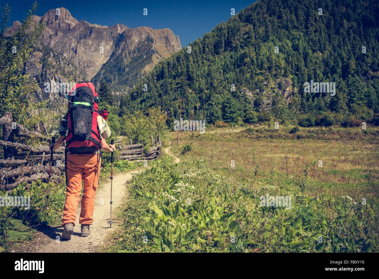 Trekker walking down path hi-res stock photography and images - Alamy
