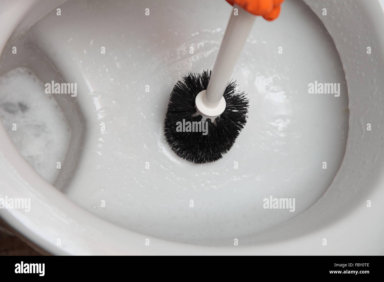 cleaning a toilet bowl with brush Stock Photo Alamy