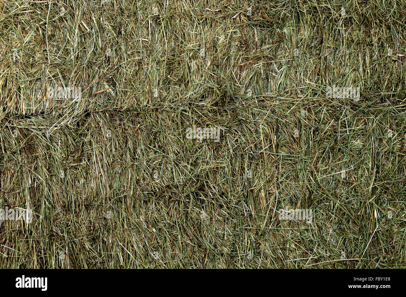 piled up pressed hay bales Stock Photo