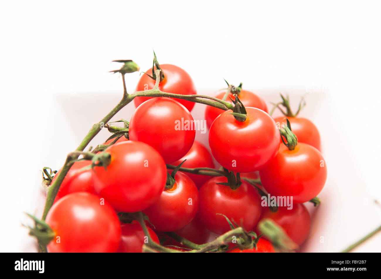 Ripe vine tomatoes on a white background Stock Photo - Alamy