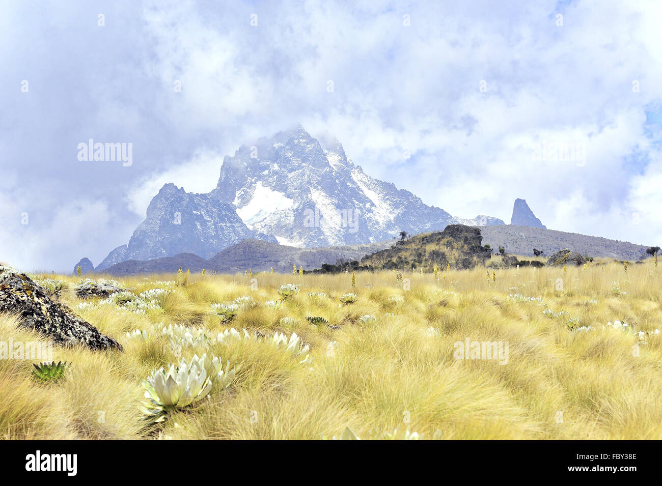 Kenya mount kenya east region hires stock photography and images Alamy