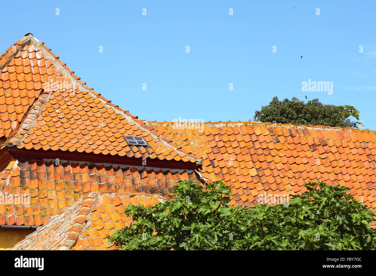 House on Christiansoe island Bornholm Denmark Stock Photo Alamy