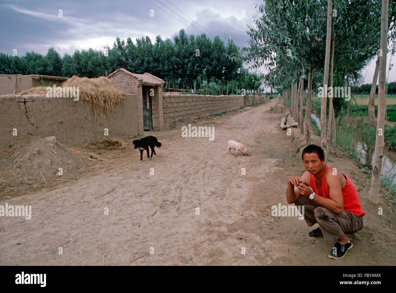 Rural Chinese village, Yinchuan, Ningxia Autonomous Region, China Stock Photo