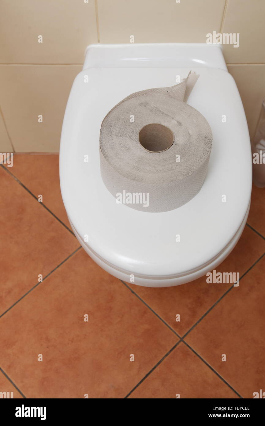 toilet paper in bathroom Stock Photo Alamy