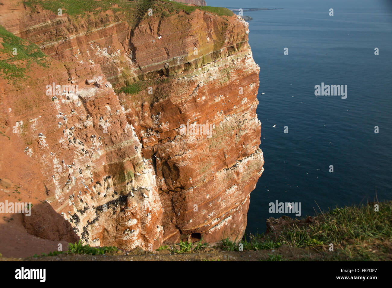 Helgoland Stock Photo