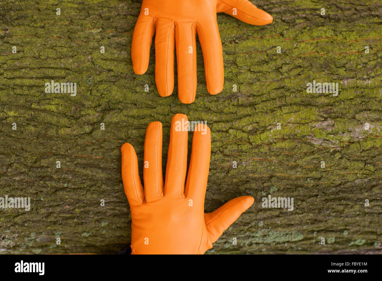 orange hands and tree Stock Photo Alamy