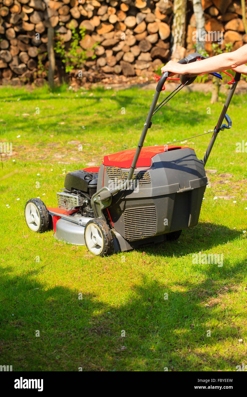 Gardening. Mowing green lawn with red lawnmower Stock Photo