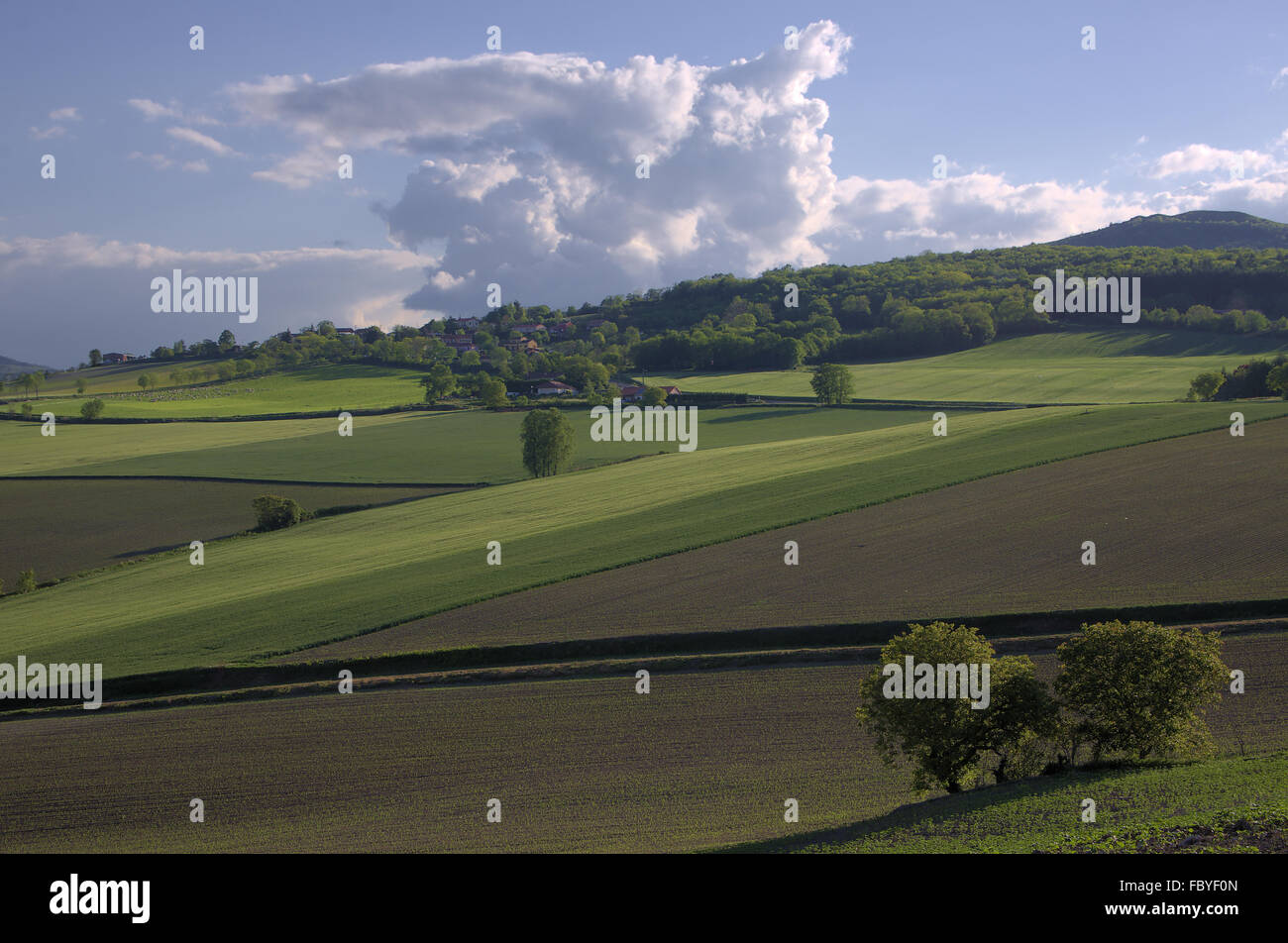 Landscape in Auvergne Stock Photo