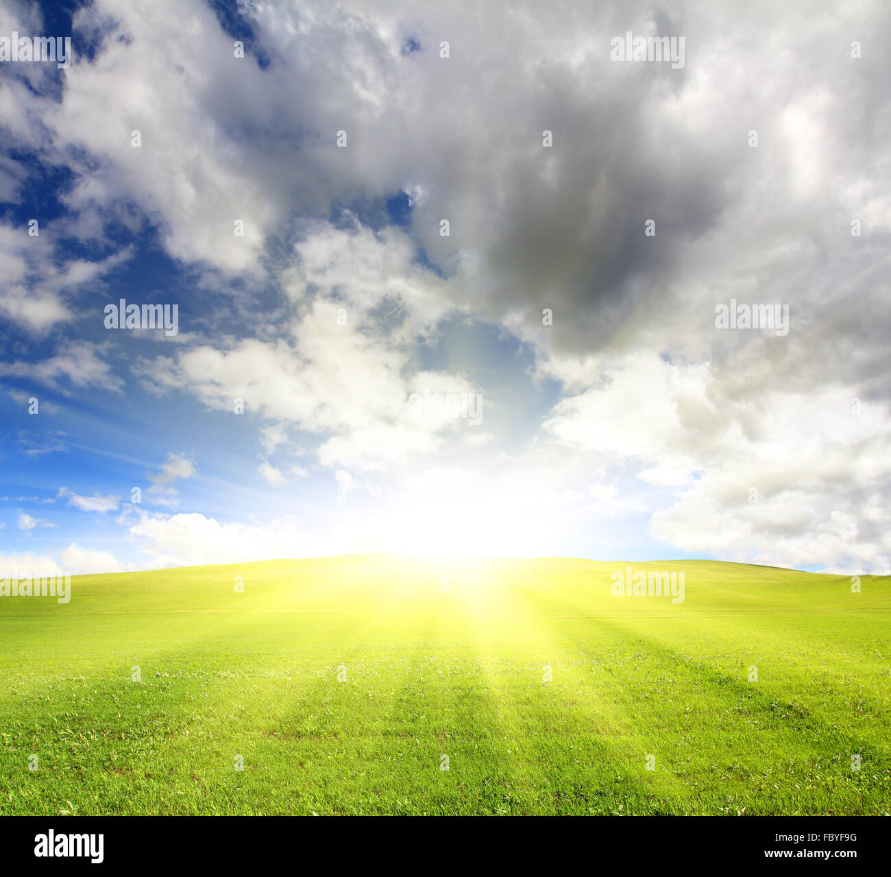 Green grass sunny sky hi-res stock photography and images - Alamy