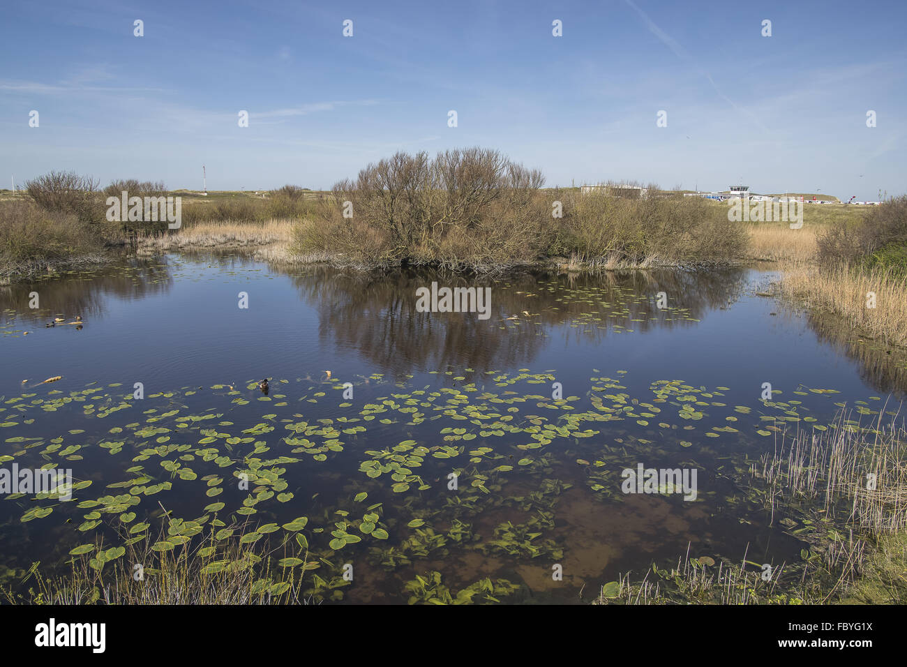 Freshwater pond hi-res stock photography and images - Alamy