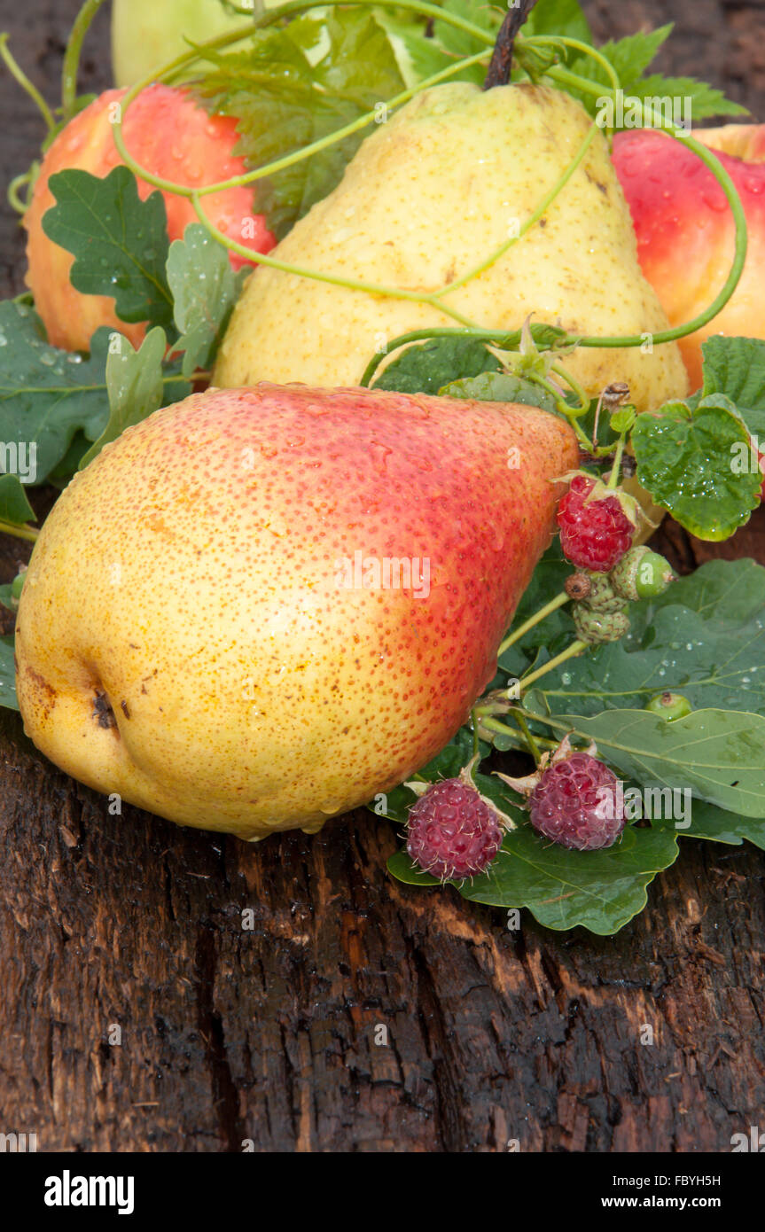 A Ripe Paer Tasty ripe pear leaves hi-res stock photography and images - Alamy