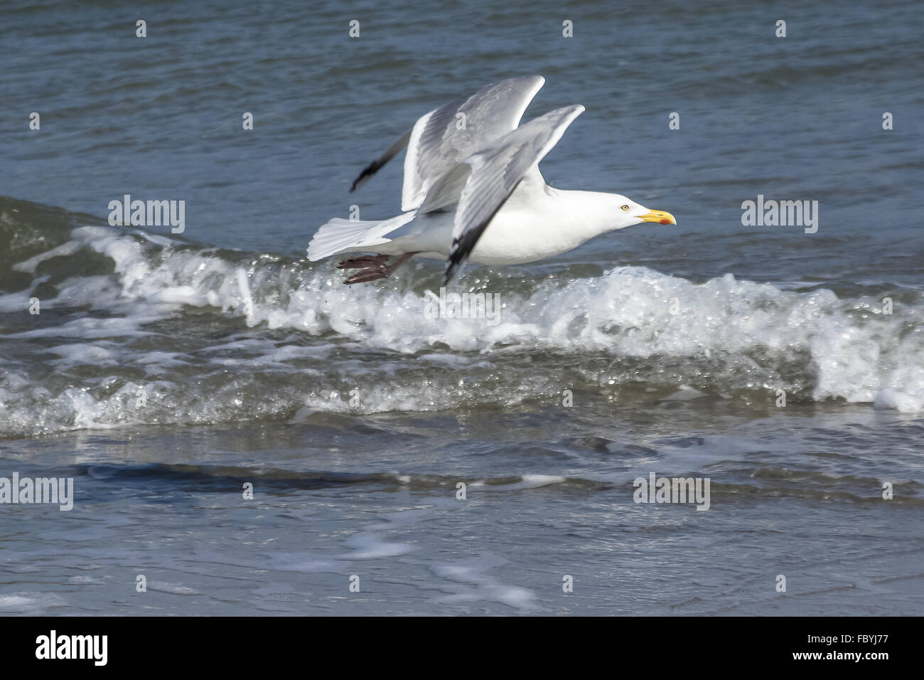 Buoyancy hi-res stock photography and images - Alamy