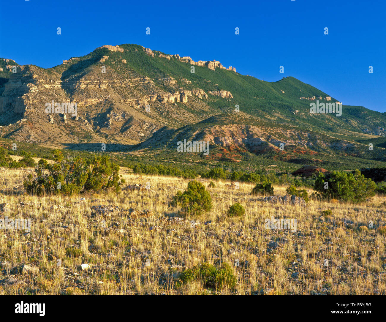 pryor mountains near bighorn canyon east of warren, montana Stock Photo