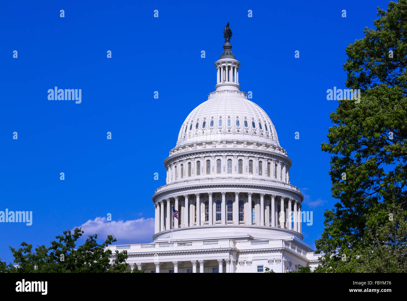 Dome of the Capitol building in Washington DC Stock Photo Alamy