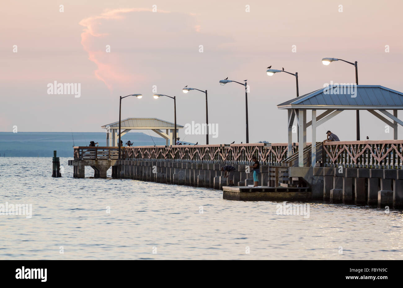 Fishing pier at Ballast Point Park near Tampa Stock Photo Alamy