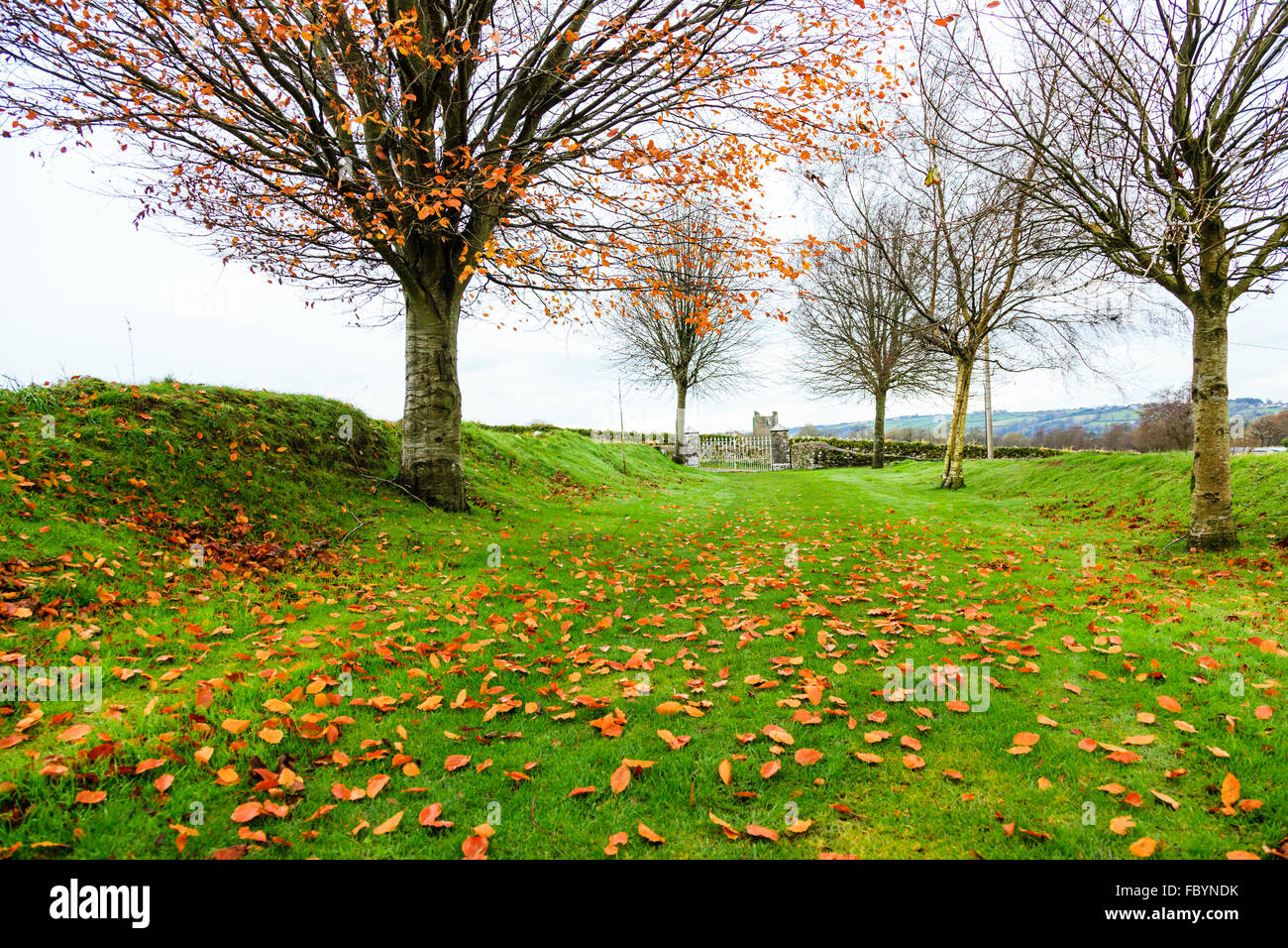 KILCREA, IRELAND NOVEMBER 28 Kilcrea Friary and Castle on November